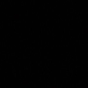 Meet your Posher, Ray